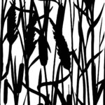 Reeds